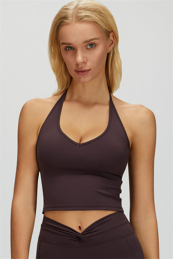The Dreamy Halter Crop Top